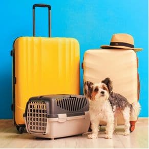 Pet travel information form